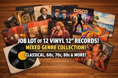 Job Lot of 12 x 12'' Vinyl Records   Mixed Genres