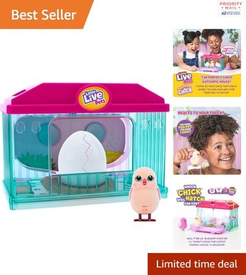 Surprise Baby Chicken Coop Playset with Sounds   Perfect Outdoor Toy for Ages 5+
