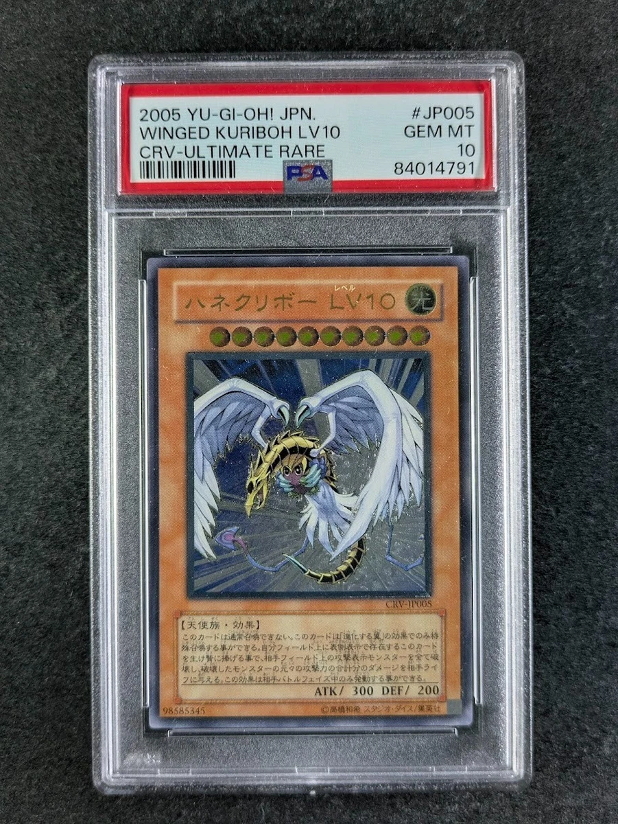 Winged Kuriboh Yu-Gi-Oh! TCG Professional Sports Authenticator