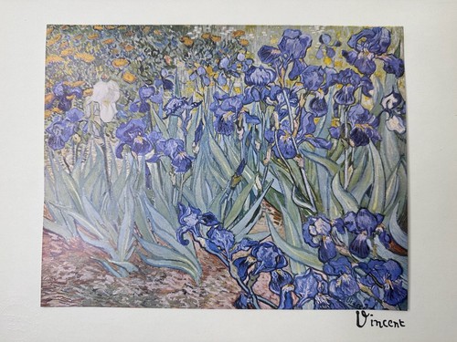 Vincent Van Gogh - Irises, 1889 - Vintage Art Print - Picture 4 of 8