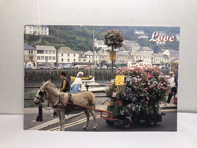 John Hinde  Original postcard￼ Photo Impressions Looe Flower donkey