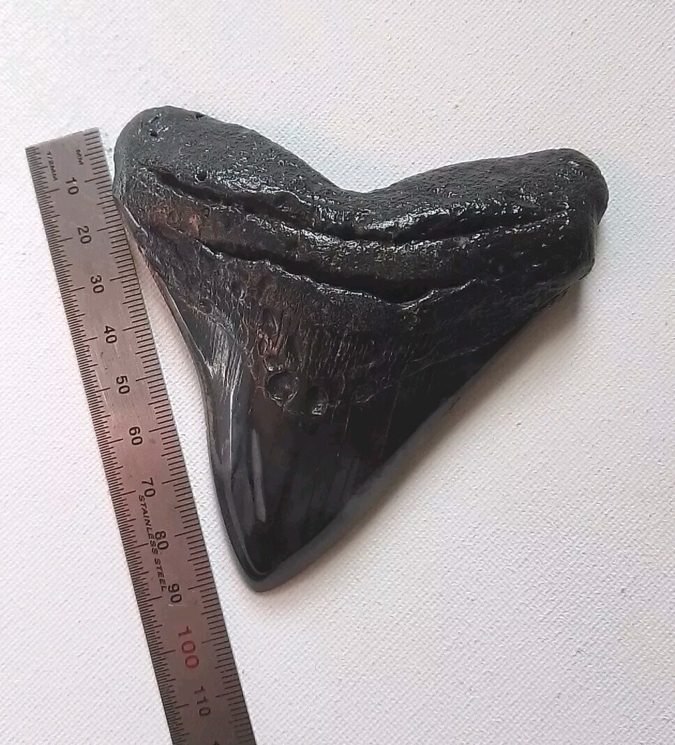 Picture 5 of 11