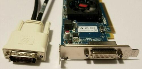 Dell Optiplex 780 3020 HP G1 Windows 7 8 10 Dual Monitor VGA or DVI Video Card - Picture 5 of 6