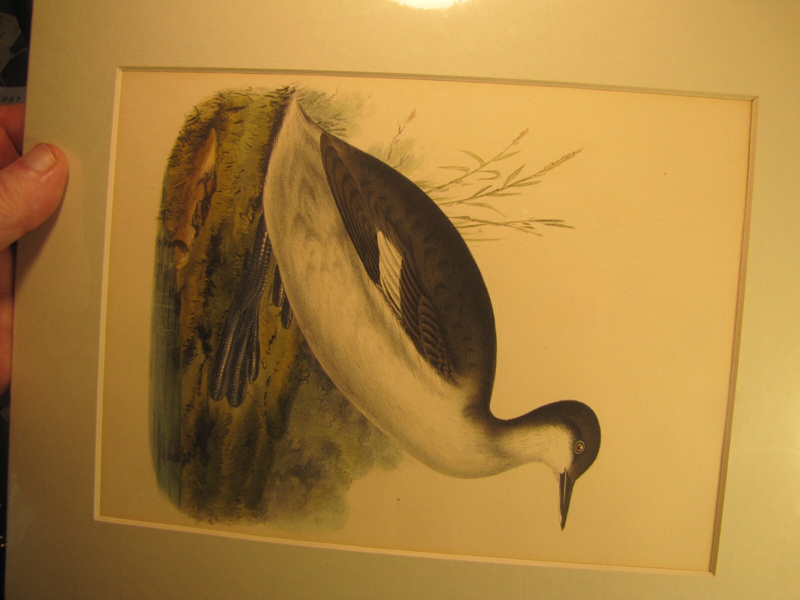 Bild 2 von 3