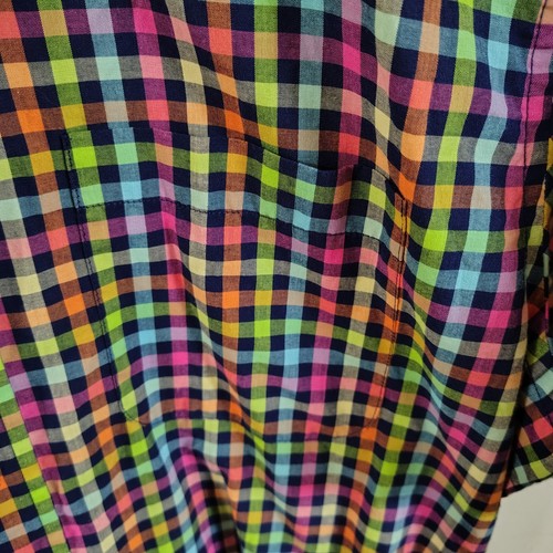 Men's Large - Saddlebred - Born Southern - Wrinkle Free Checkered Plaid Y2K - Picture 5 of 7