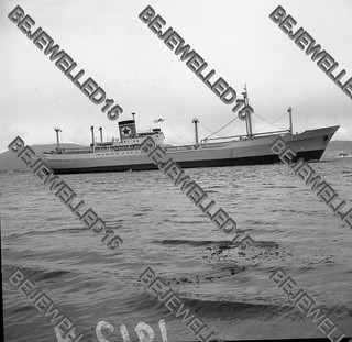 Altes Schiffsnegativ."Canterbury Star".Frachtschiff auf der Blue Line Flotte.#362