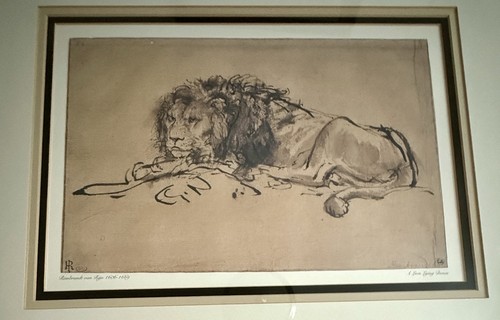 Art Print Lion Lying Down by Rembrandt van Rijn 23”x19” - Picture 6 of 17