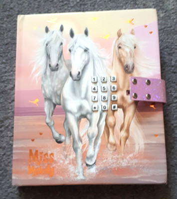 Miss Melody Tagebuch mit Code und Sound * Motiv 2 SUNDOWN * Depesche * NEU *