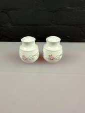 Royal Doulton Summer Carnival Salt and Pepper Pots Cruet Set