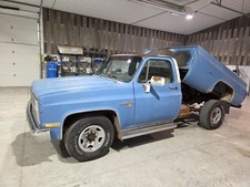 1981 Chevrolet Other Pickups 