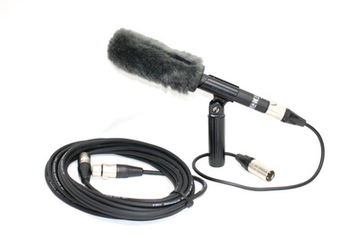 マイク ECM-VG1 Sony ECM-VG1 Condenser Shotgun Microphone 27242264083| eBay