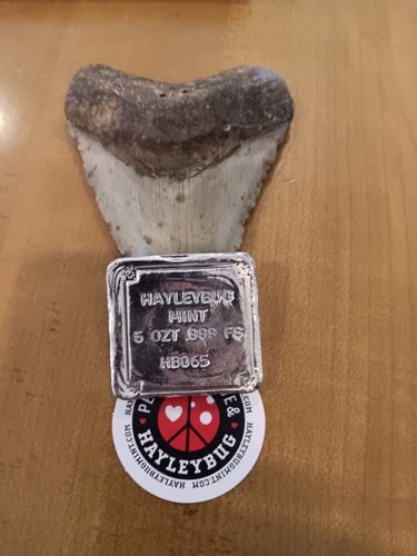 Early 5 Oz .999 Silver Hayleybug Logo Square