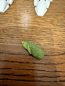 Lego Bionicle Rahkshi Kurahk 8588 Complete w/ Kraata Worm