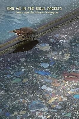 Find Me In The Feral Pockets: Poems From The Gowanus Interregnum, Brad Vogel