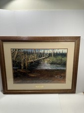 Beaver Pond Brookies Fred Thomas Limited Edition Signed Trout Fish 325/5500 RARE