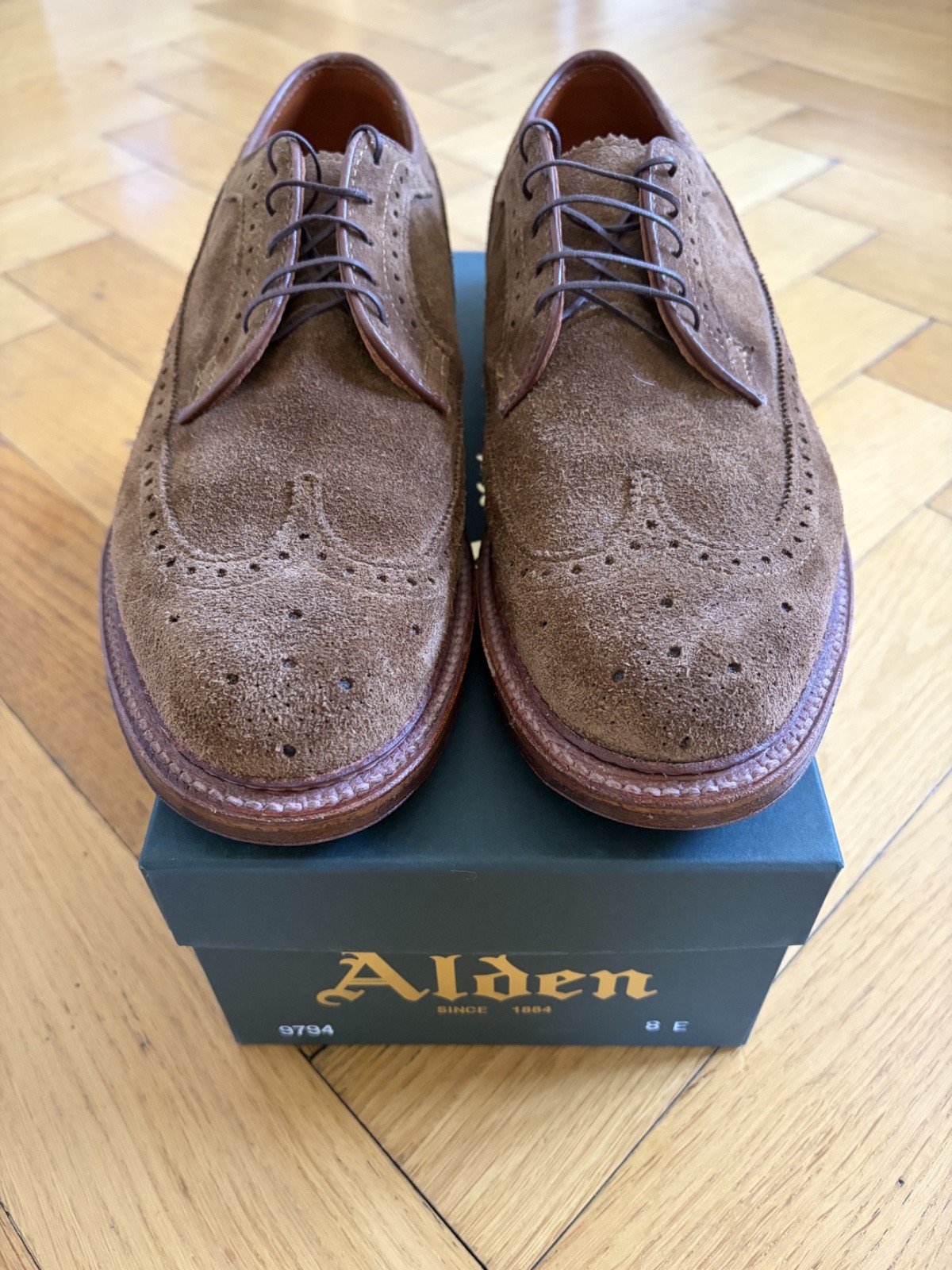 Alden 9794 Snuff Suede Long Wing Blucher
