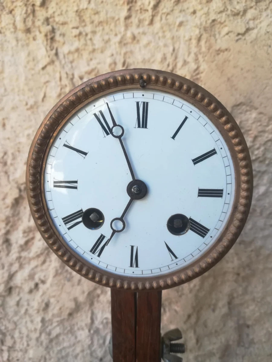 Aiguilles Renaissance Bleuies Pour Mouvement De Paris 34/46 - Suisse - Neuves