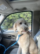 Dawson’s Creek Class Reunion