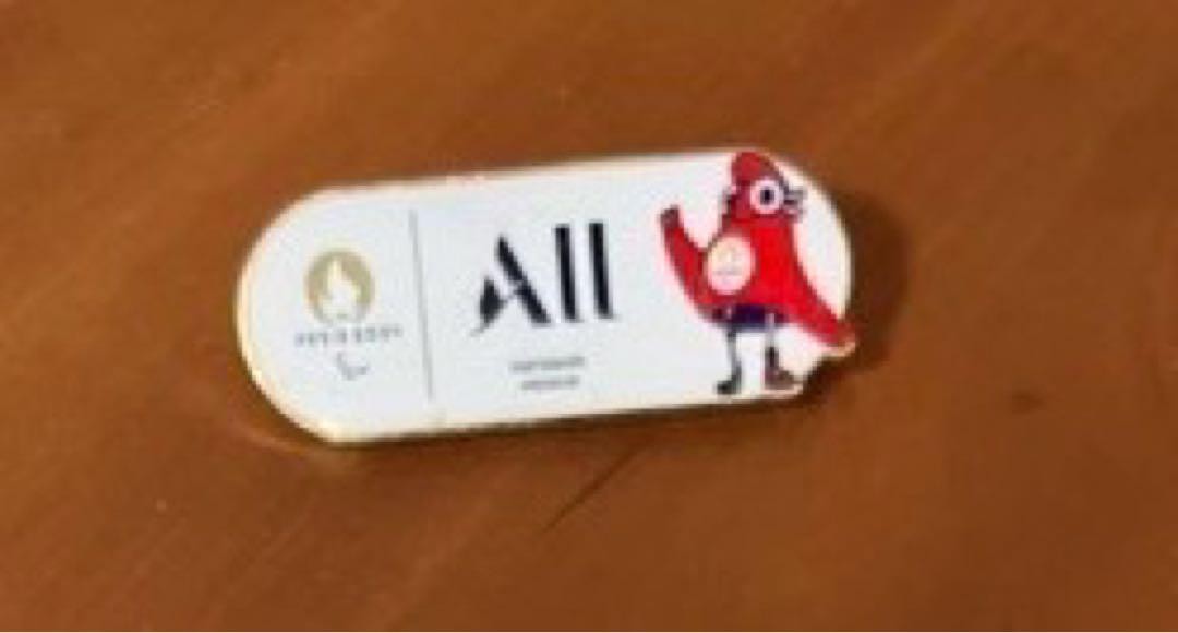 2024 Paris Paralympics Pin Collection Coating Companies  