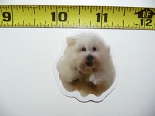 FUNNY DOG SMALL STICKER DECAL AX141 RUNNING SIZE FUN HI PET FUNNY