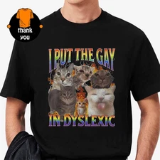 I Put The Gay In Dyslexic Megan Skiendiel KATSEYE Wearing Cat Meme T-Shirt