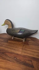 Capt JOEY JOBES HAND CARVED AND PAINTED Black Duck Decoy 17" 2022 Delta Banquet