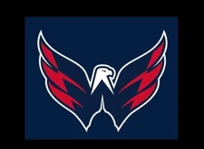 Custom Order 3D ART  3-D sports man cave art new rare Washington Capitals