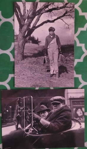 1993 Megacards Babe Ruth Ruthian Shots: #2 & #5 cards | eBay