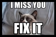 I Miss You Fix It Grumpy Cat   - MAGNET