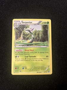 Serperior 8/113 - BW Legendary Treasures - Rare Holo Pokemon Card NM
