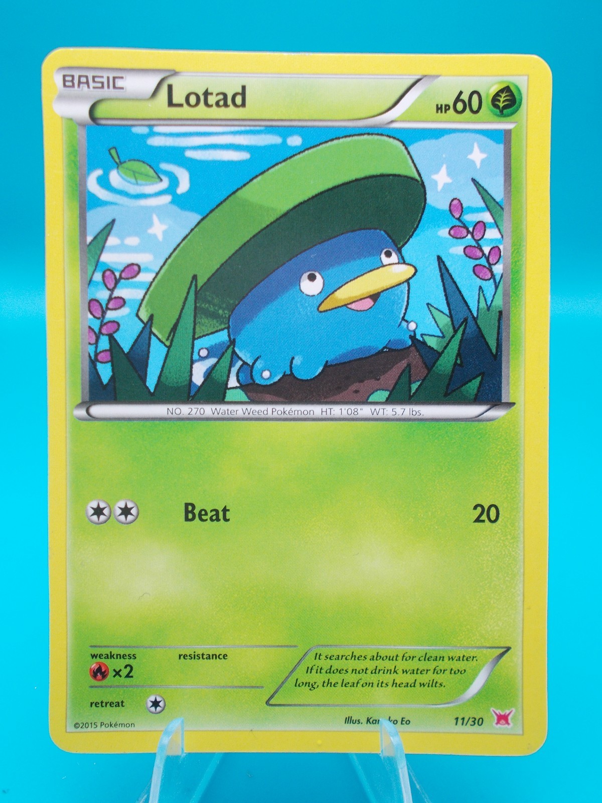 Lotad (#11) 11/30 XY Trainer Kit: Latias & Latios Pokémon TCG Regular LP