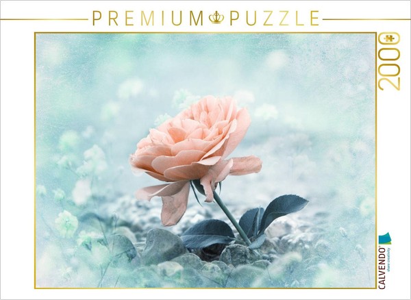 Calvendo Puzzle Rose On The Beach | 2000 Pieces, Finished Size 35.4 × 26.4 In (9-image