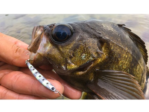 NEUF Tict Cool Jig 55mm 11g Leurre Mer COULEURS - Photo 2/9