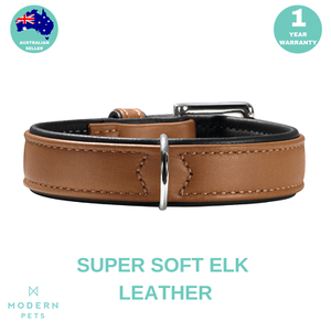 elk leather dog collar