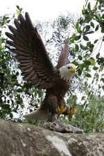 Flying Eagle Figure Garden Statue 2 Sizes Gar...