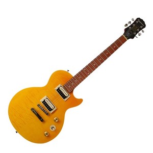 Epiphone Slash | eBay