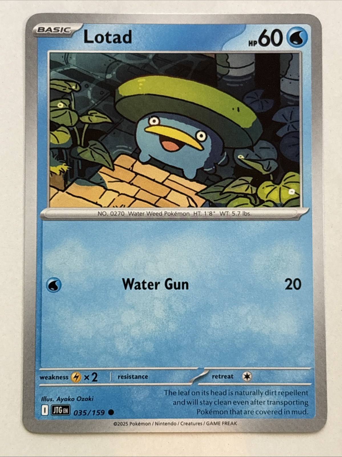 Pokémon TCG Journey Together Lotad 035/159 NM