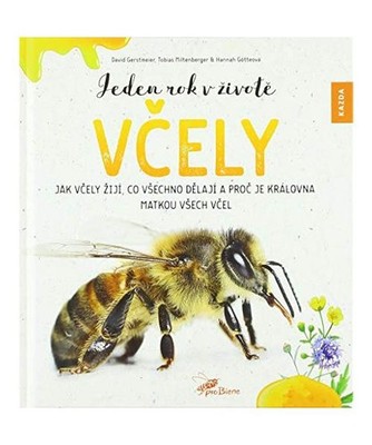 Jeden rok v život? v?ely: Jak v?ely žijí, co všechno d?lají a pro? je král
