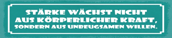 Holzschild 10X46 Cm StäRke WäChst Nicht Aus KöRperlicher Kraft GrüNes Deko Gesch-image