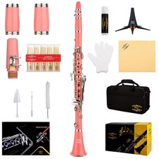 Professional Bb Clarinet Bundle - Pink/Silver