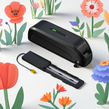 48V 15Ah Lithium-ion Battery