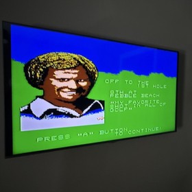 Nintendo NES  - Jack Nicklaus' Greatest 18 Holes Golf  ( Works ) 