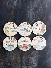 6pc Baby Monthly Milestone Cards Wooden Signs Photo Props Dinosaur Theme Circles
