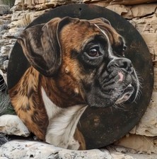 Boxer DOG Lover Classic Metal Sign Picture Garden Birthday Present Picture Art