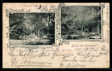 Ansichtskarte Osterode, Curpark Restaurant z. Robert Schulz 1901 