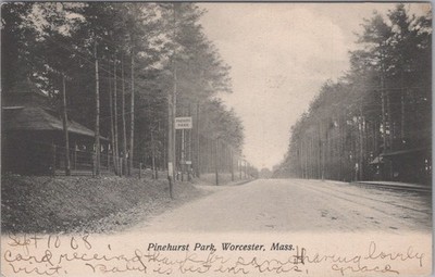 Pinehurst Park Worcester MA 1908 Wooden Pavilion Pine Trees Postcard