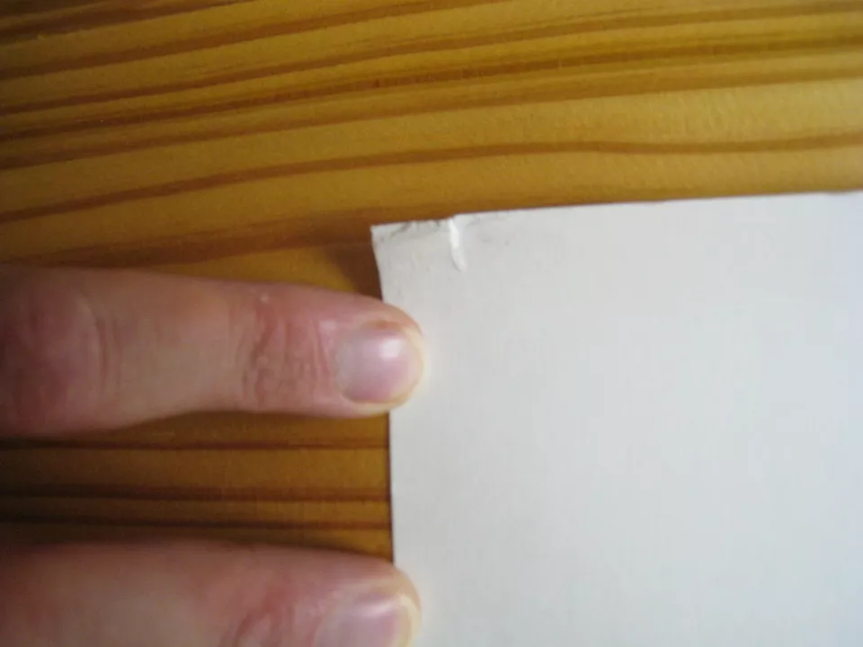 Mastodon Poster 2004 Louse Signed Numbered - Image 2 of 4