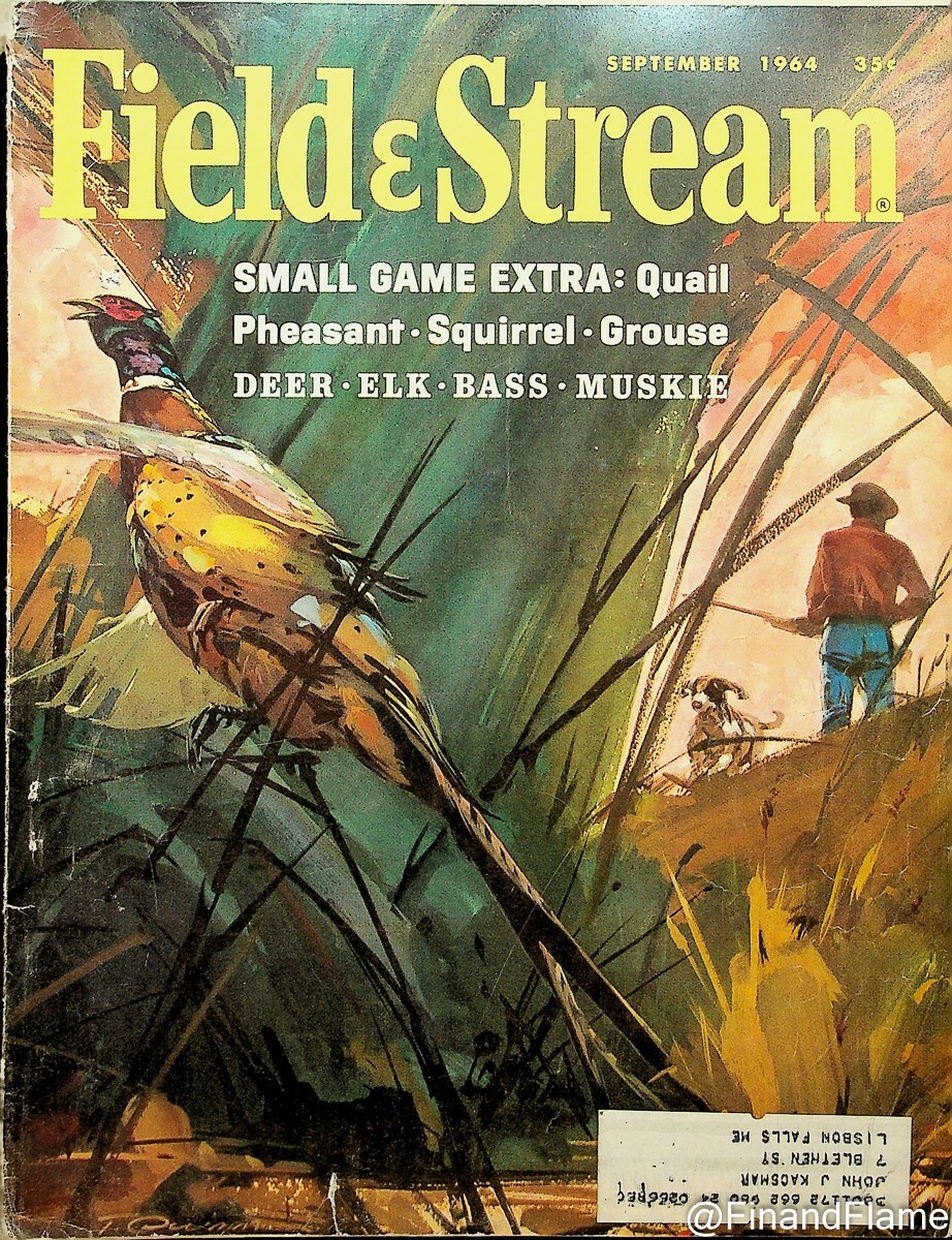 Field & Stream September 1964 Hunting Sporting Fishing Quinn Pheasant Cover  B | eBay