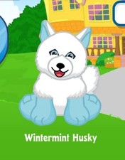 Webkinz Classic Wintermint Husky Virtual Adoption Code Only Messaged Christmas