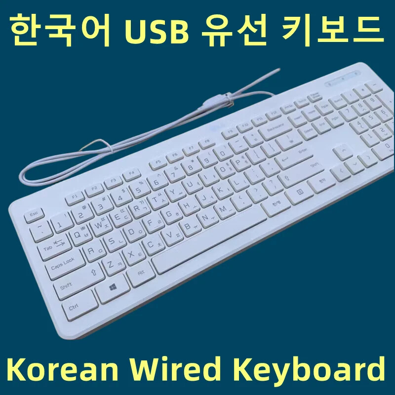 Korean USB Wired white Keyboard for LG KB25C South Korea | eBay